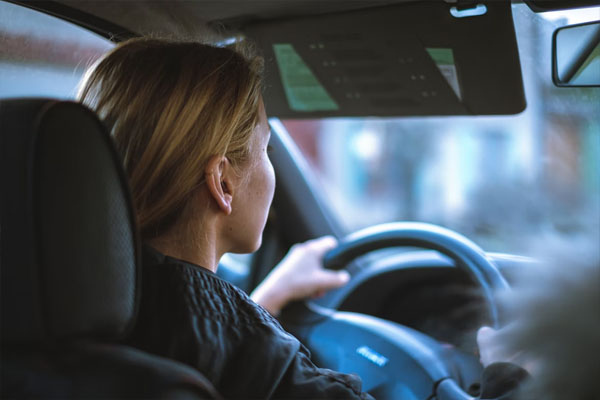 Car Rentals